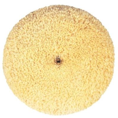 8.00" Diameter Double-Sided Compounding & Buffing Pad Cutting